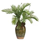 24 inch Cycas Palms in Glazed Vase