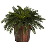 22 inch Cycas Palm in Octagon Vase