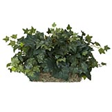12 inch Ivy Set on Foam Sheet