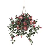 24 inch Passion Flower in Hanging Basket