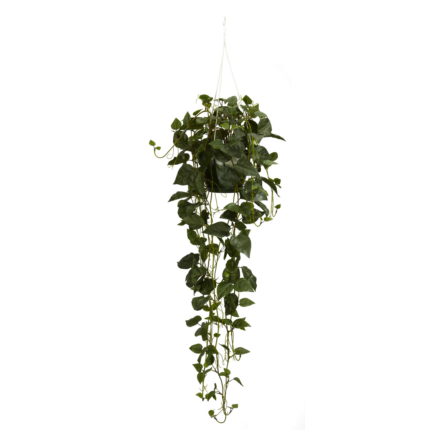 Green Hanging Plants