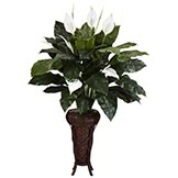 57 inch Spathiphyllum in Stand