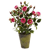14 inch Indoor Silk French Rose Garden: Potted