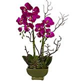 21 inch Indoor Silk Orchid & Succulent Arrangement in Green Ceramic Vase