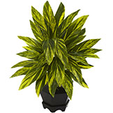 20 inch Indoor Silk Ginger Plant with Decorative Black Planter