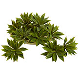 1 Dozen 5 inch Indoor Silk Mini Agave Succulent Plants
