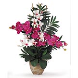 29 inch Phalaenopsis Orchid & Dendrobium Orchid Arrangement in Planter