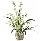 Dancing Lady Orchid Arrangement in Acrylic Water
