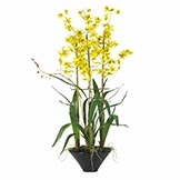 Silk Oncidium Orchid in Black Vase