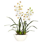 Silk Cymbidium Orchids with White Vase