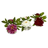 Small Peony in Glass Vase (Set of 3)