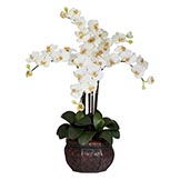 Silk Phalaenopsis Orchids with Decorative Vase
