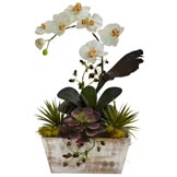 21 inch Silk Orchid & Succulent Garden in White Wash Planter