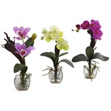 Silk Mixed Orchid in Cube Arrangements: Multiple Colors (Set of 3)