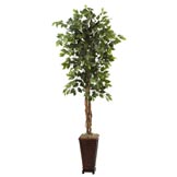 6.5 foot Artificial Ficus in Decorative Planter