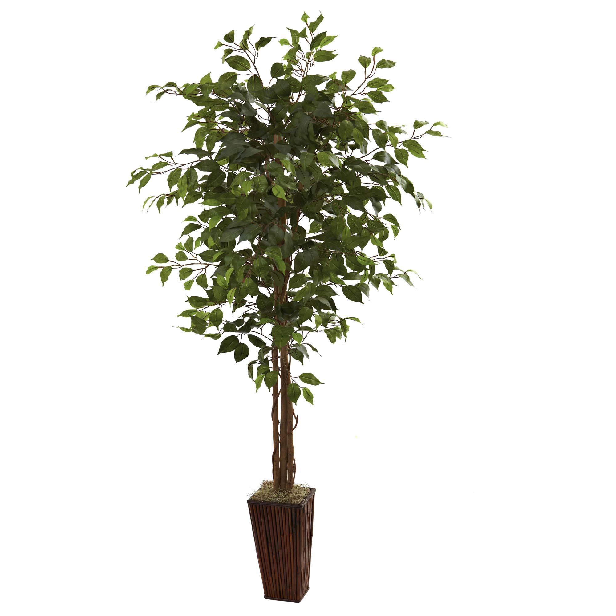 6 foot Artificial Ficus Tree in Bamboo Planter 5931