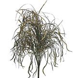 24 inch Willow Bush