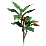 48 inch Large Taro Leaf Plant