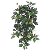 26 inch Fruiting Ivy Bush