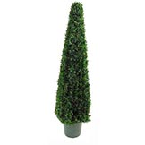 3 foot Boxwood Cone Top Topiary: Potted