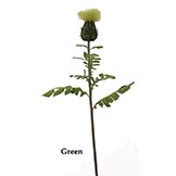24 inch Small Thistle (Set of 3)