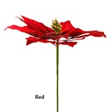 48 inch Wide Giant Poinsettia