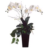 Silk Phalaenopsis Orchids Floral Arrangement