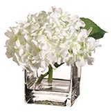 Hydrangea in Vase with Acrylic Water