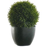 11 inch Oval Tea Leaf Ball Topiary in Black Urn
