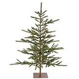5 foot Bigfork Pine Tree