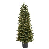 6 foot Potted Ottawa Dura-lit Tree