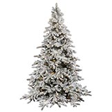 9 foot Flocked Utica Fir Christmas Tree: Clear LEDs