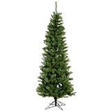 6.5 foot Salem Pencil Pine Christmas Tree: Unlit