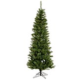 6.5 foot Salem Pencil Pine Christmas Tree: Lights