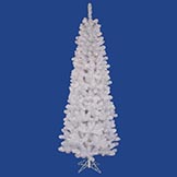 White Salem Pencil Pine Tree