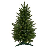 2 foot Frasier Fir Christmas Tree: Lights