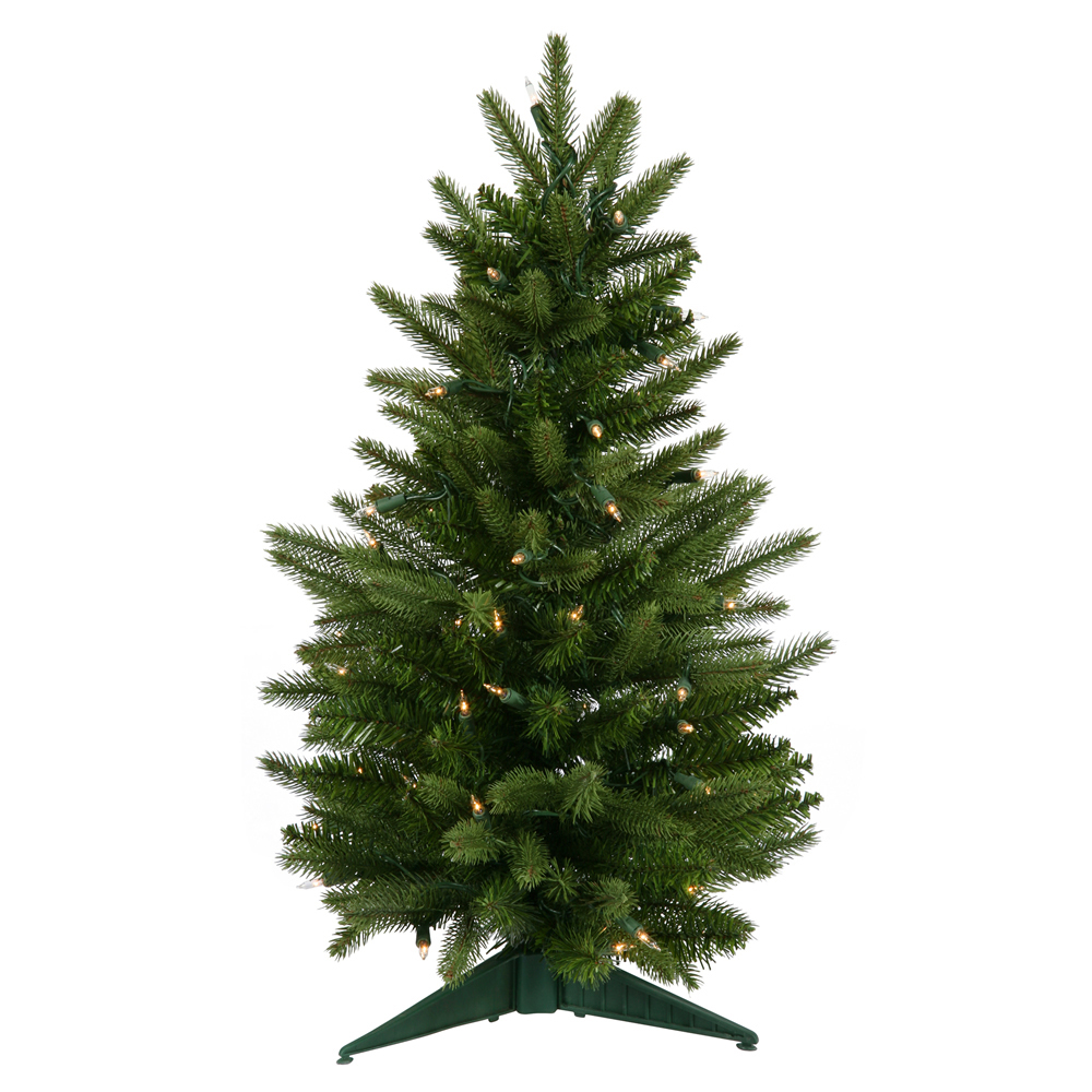 frasier fir tree vck3132 frasier fir tree vck3132