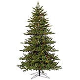 7.5 foot Med Noble Fir LED Tree