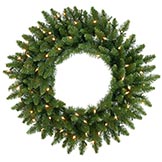 24 inch Camdon Fir Wreath: Lights