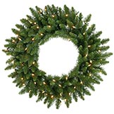 30 inch Camdon Fir Wreath: Clear LEDs