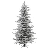 6.5 foot Flocked Slim Sierra Christmas Tree: Unlit