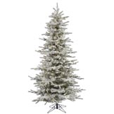 6.5 foot Flocked Slim Sierra Christmas Tree: Clear LEDs