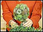 How to Make a Topiary Tree Article