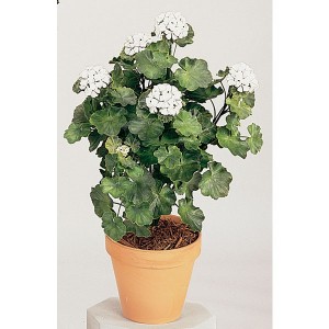 Product Highlight: Artificial Outdoor Geraniums