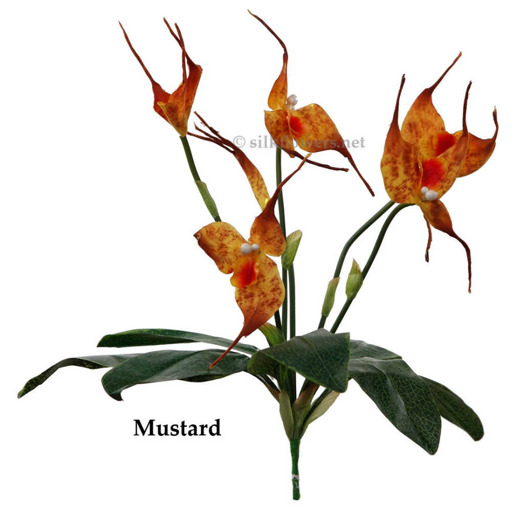16-inch Amazon Orchid
