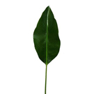Decorating with Large Silk Leaves