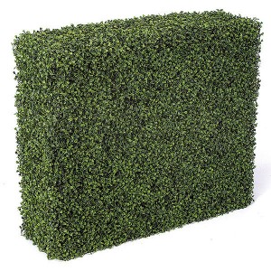 5 Sided Boxwood Hedge