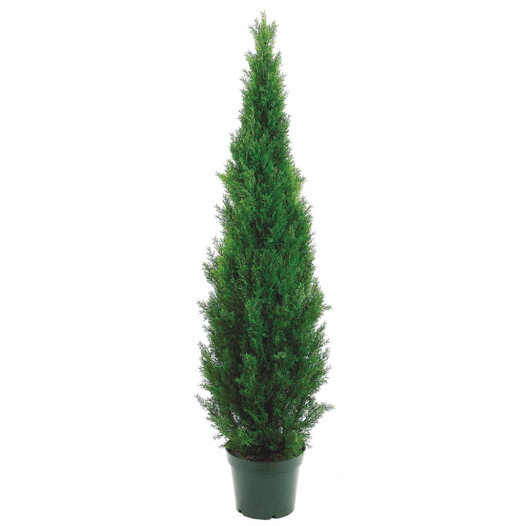 6-Foot Artificial Cedar