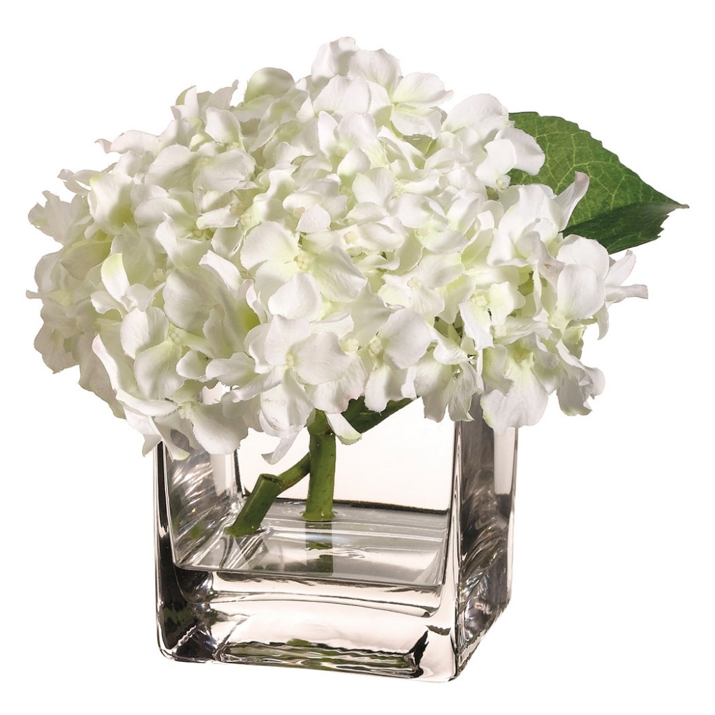 Hydrangea in Vase