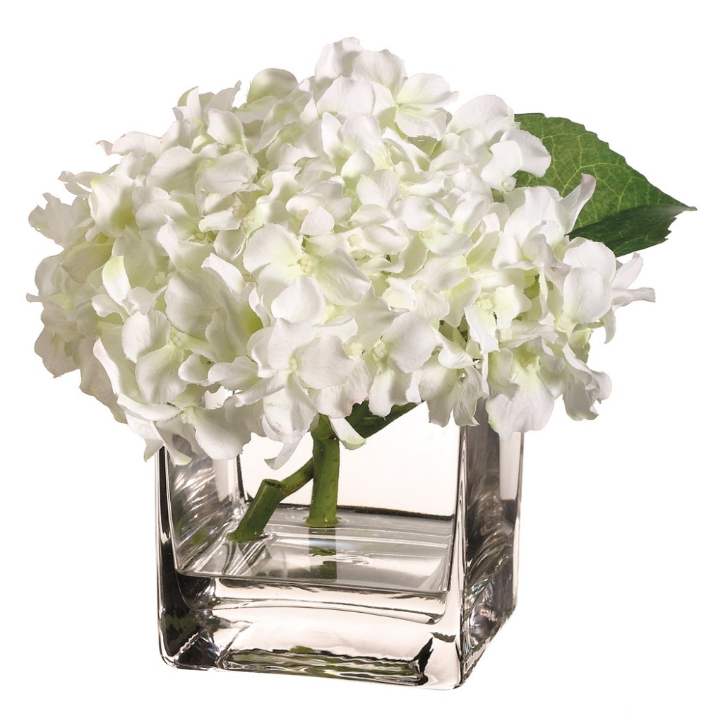 Hydrangea in Vase with Acrylic Water
